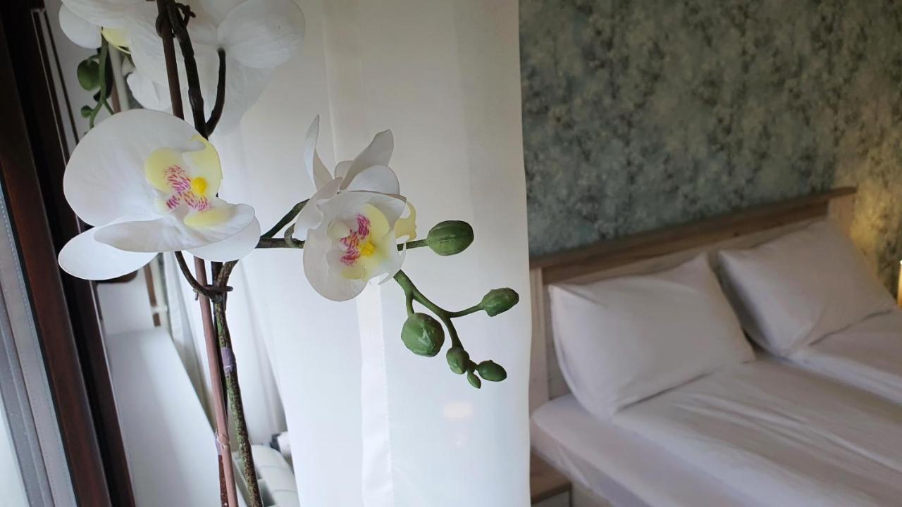 Apartments Spring Čačak Extérieur photo