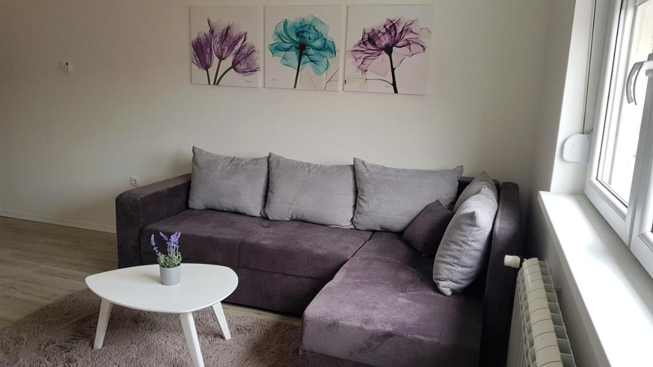 Apartments Spring Čačak Extérieur photo