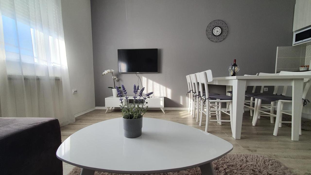 Apartments Spring Čačak Extérieur photo